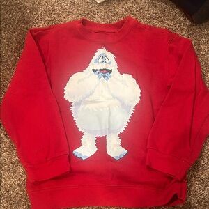 Red Graphic kids sweatshirt